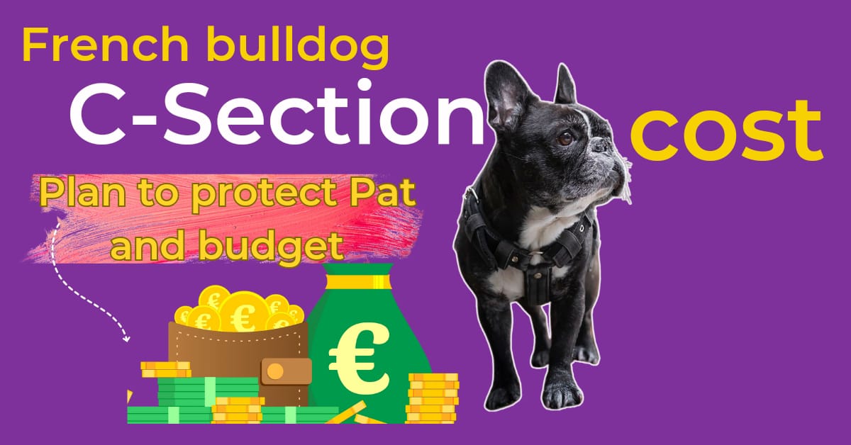 The True Cost of a Bulldog Dog C-Section: Plan Ahead to Protect Your Pet and Budget