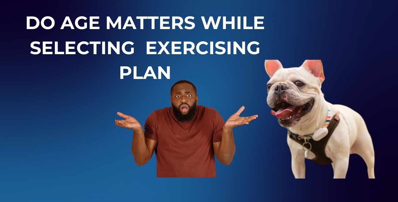 French bulldog exercise requirements